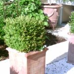 Potten: Casbo Alto Senza Bordo is hoog 58 cm