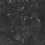 Partij 100 m2 – Vloertegel – Belgisch Hardsteen  61×30,5×1 cm – glanzend