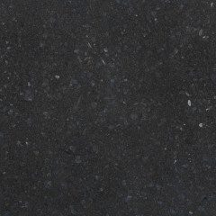 Vloertegel - Graniet Olivian Black - 40×40×1,5 cm - glanzend gepolijst