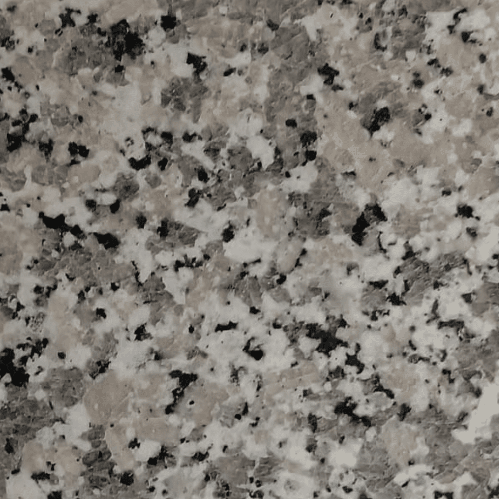 Bianco Sardo 40x40x1 cm